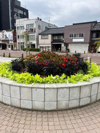 手入れが終わった花壇