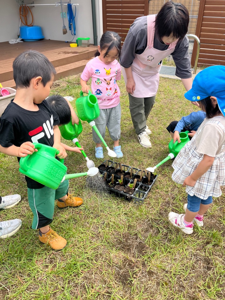 苗に水をあげる園児