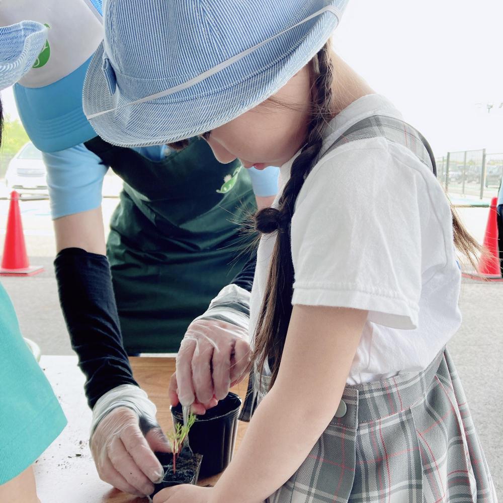 フォークを指しているスタッフの手元を真剣な表情で見ている女の子の写真