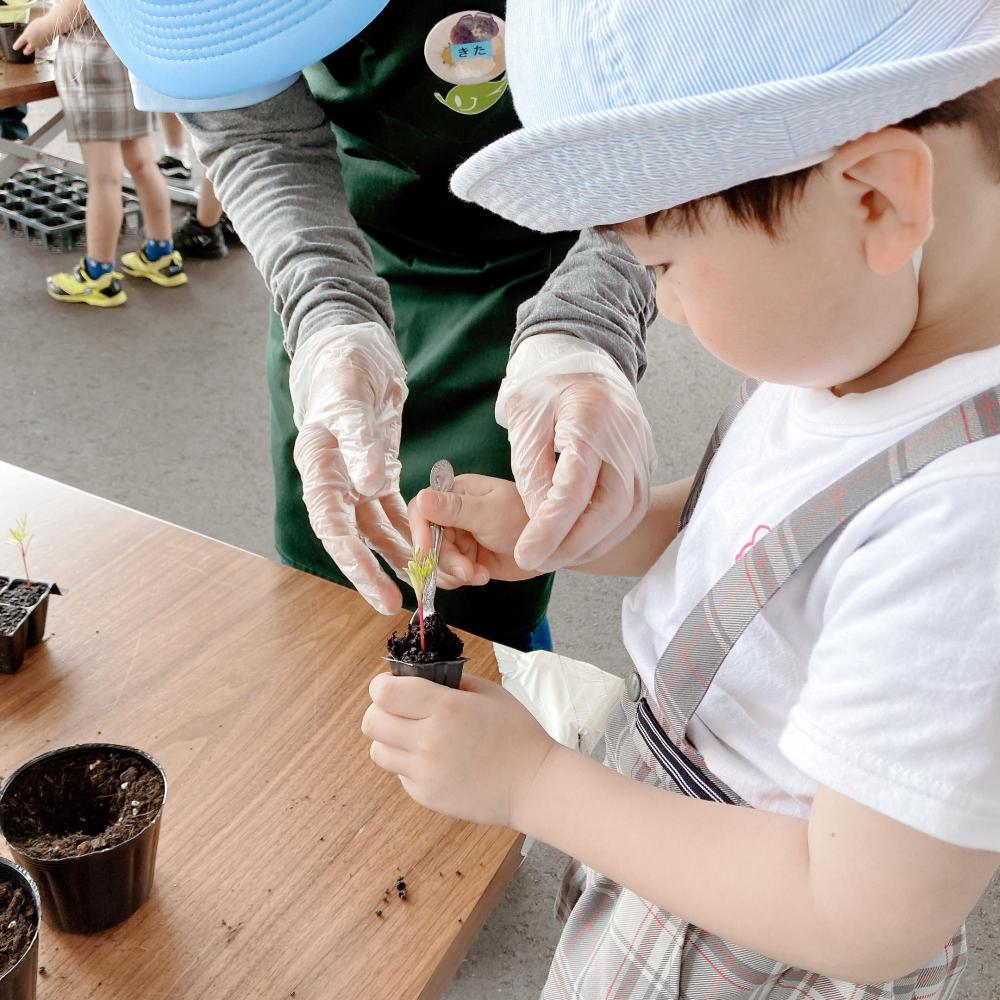 男の子が自分でフォークを刺している横でスタッフの女性が手助けしようとしている写真