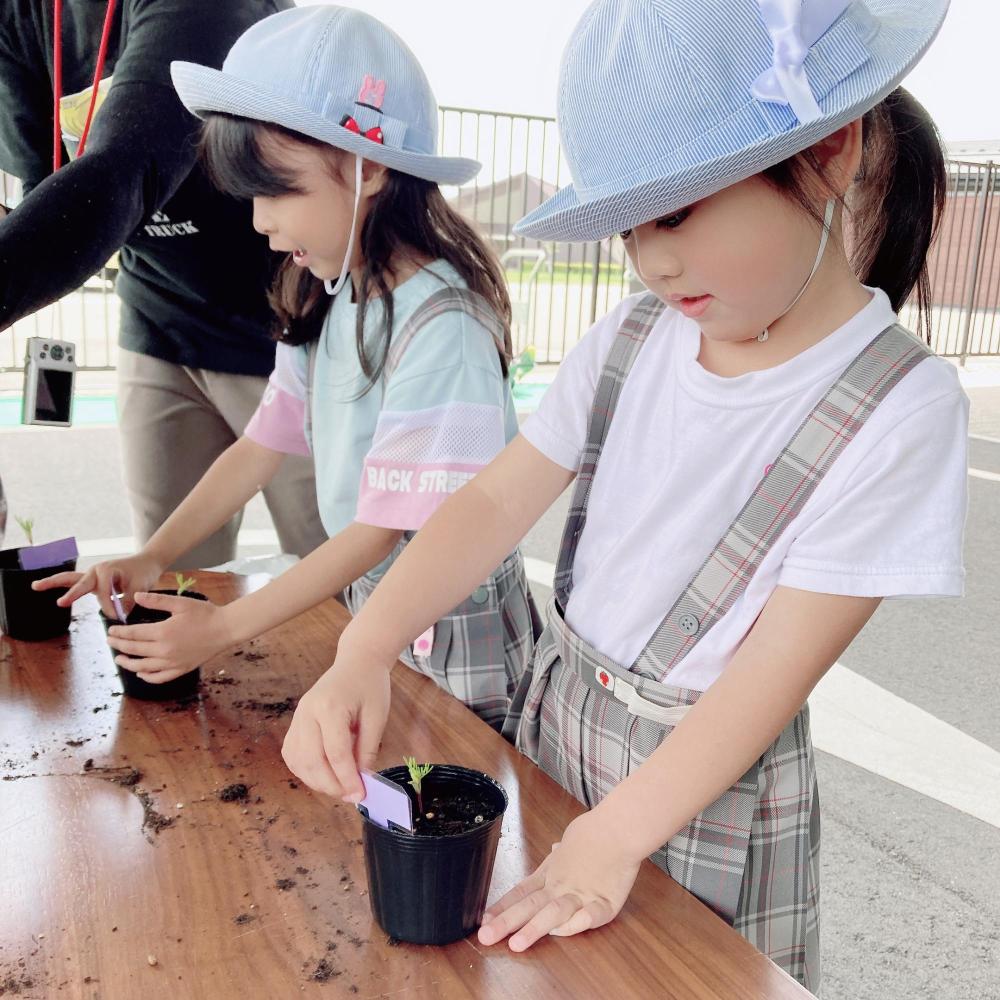 苗をいれたポットに自分の名札をつけている女の子2人の写真
