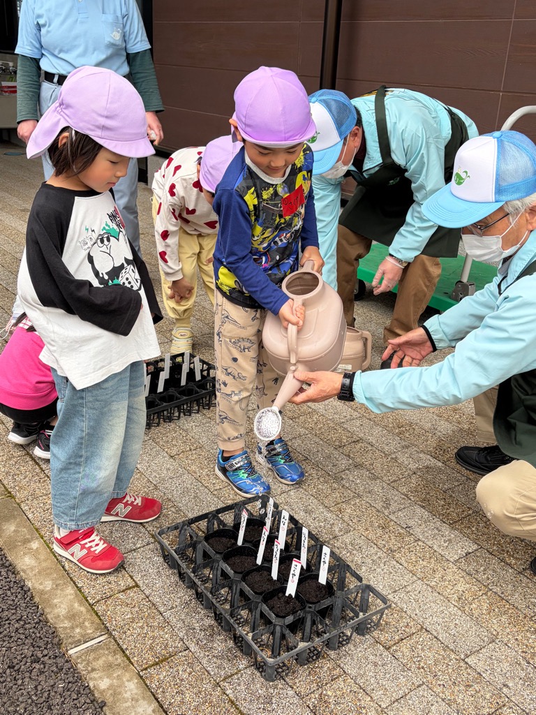 種にお水をあげる園児