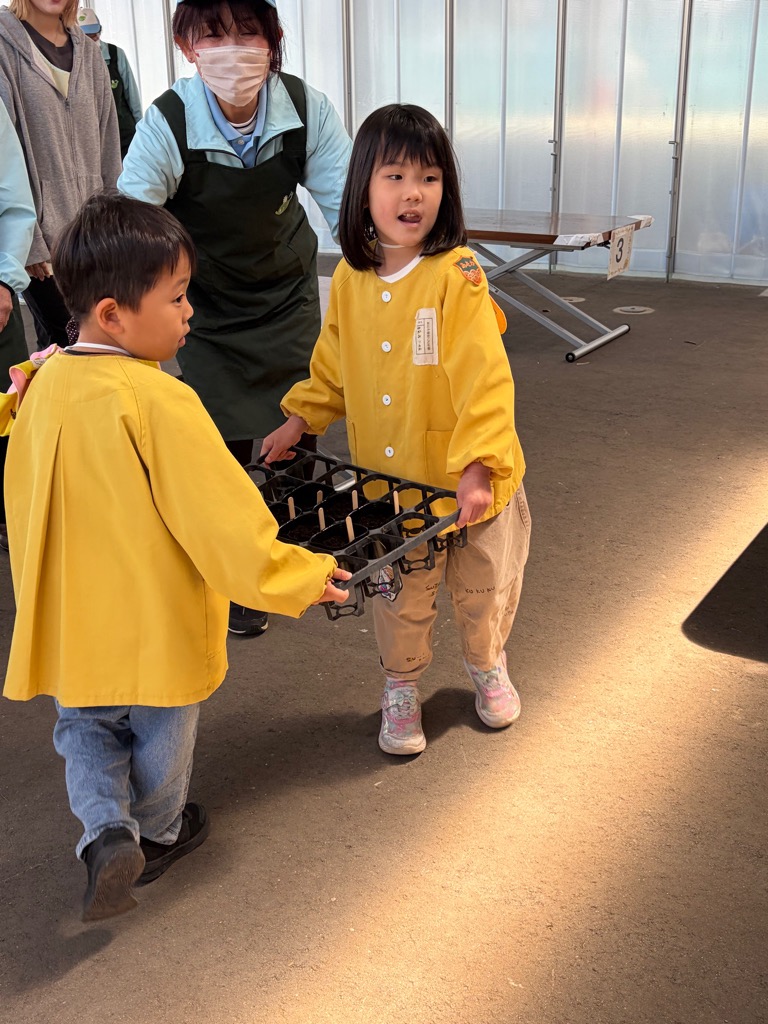 苗を水場まで運ぶ園児