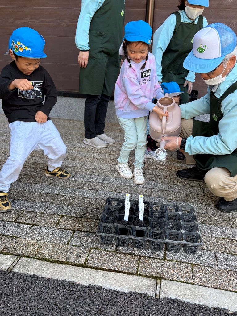種に水をあげる園児
