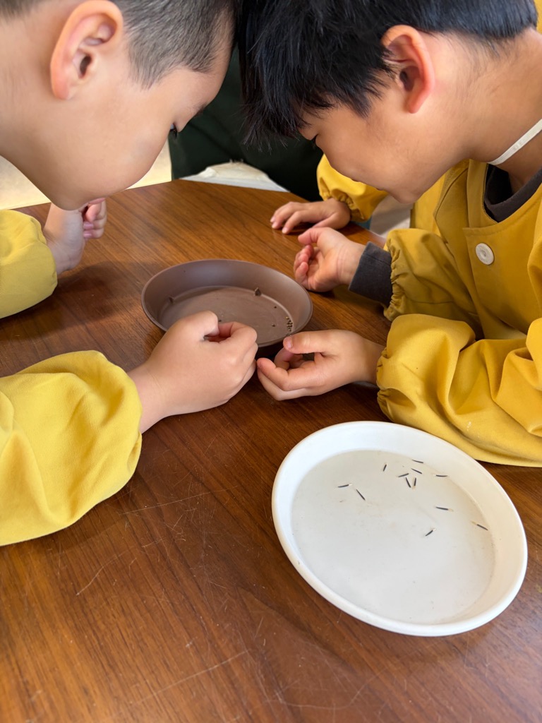 種を見て驚く園児