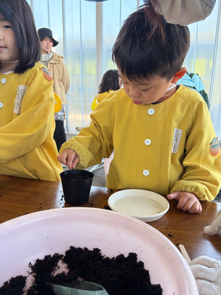 種をポットに入れる園児