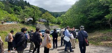 カラミめぐりの様子