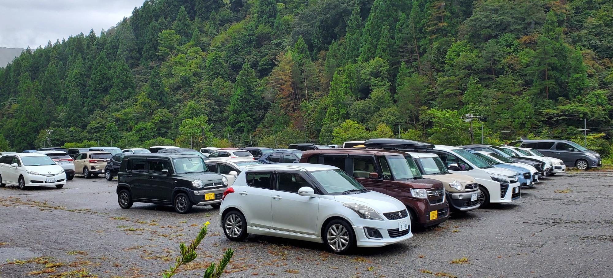 臨時駐車場も常時、満車でした