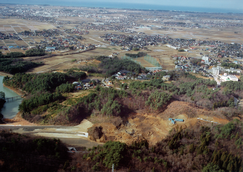 上空から見た遺跡(県調査)