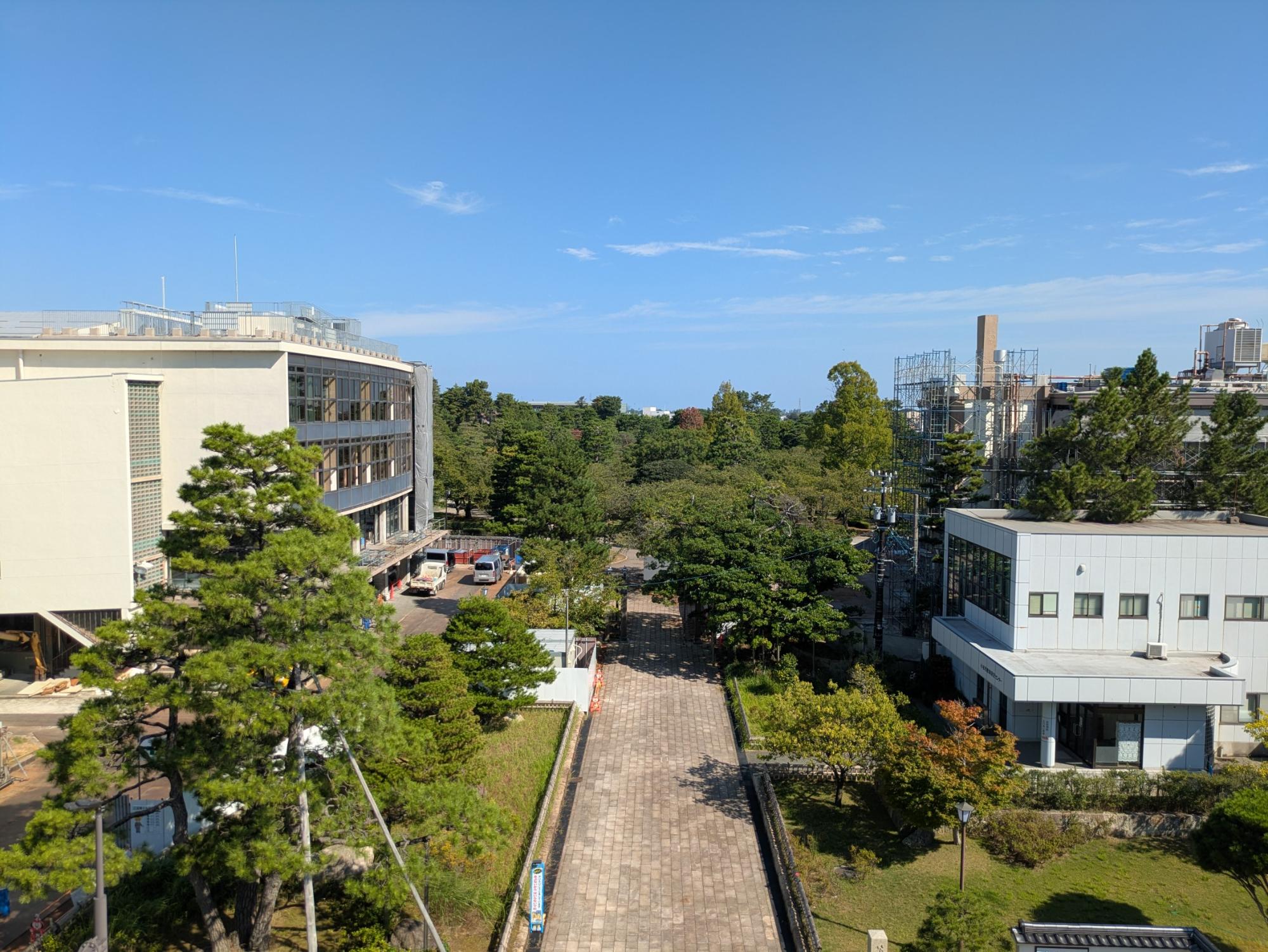 解体の様子9月