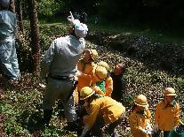 黄色の帽子を被った緑の少年団の子ども達が男性が指さししている木の方向をみている様子を写した写真