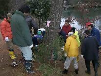 1本の木をたくさんの人達が囲み病害虫の確認をしている様子を写した写真