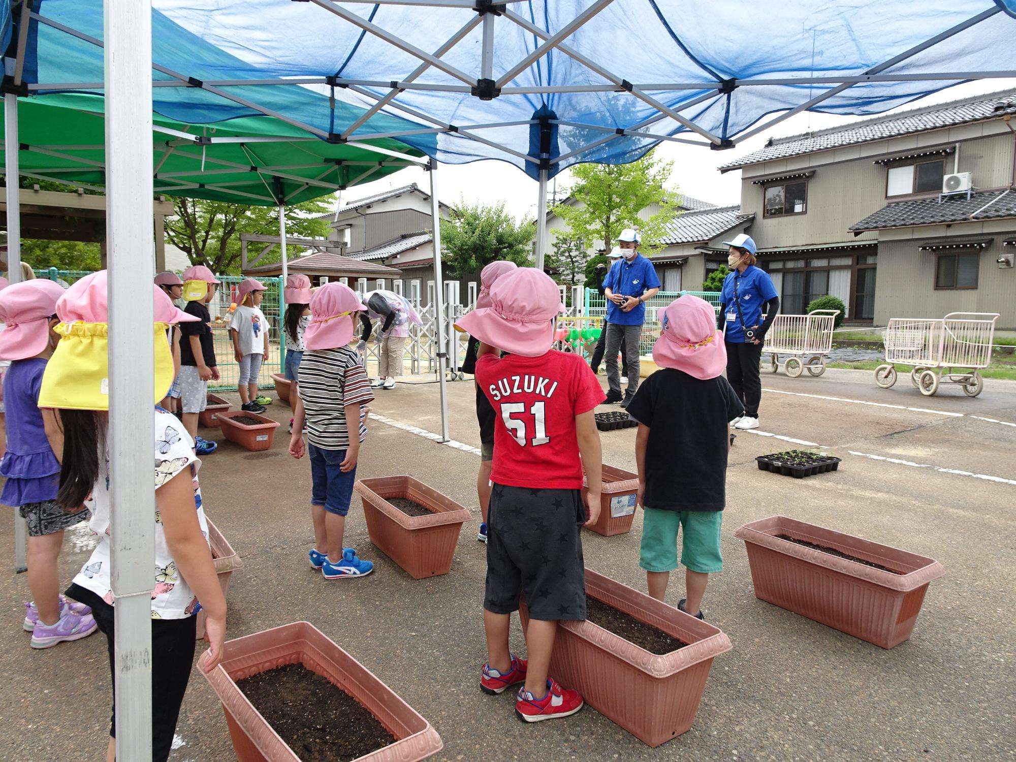 青色のシャツを着た寺井先生と男性スタッフ、茶色のプランターの傍に1人ずつ立っている園児たちが向かい合い先生の話を聞いている写真