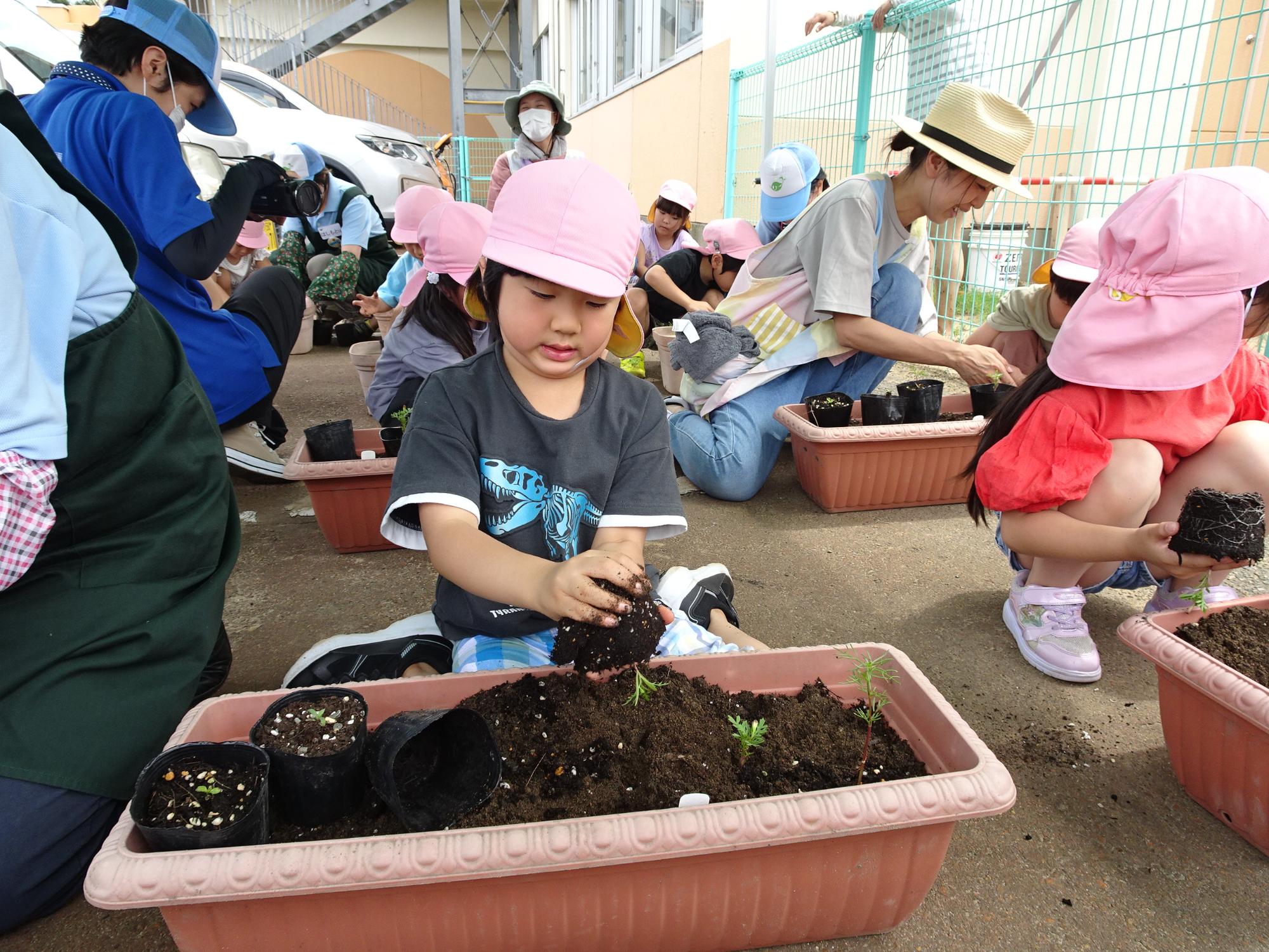 プランターの傍に座っている園児が、ポットから取り出した花を植えている様子の写真