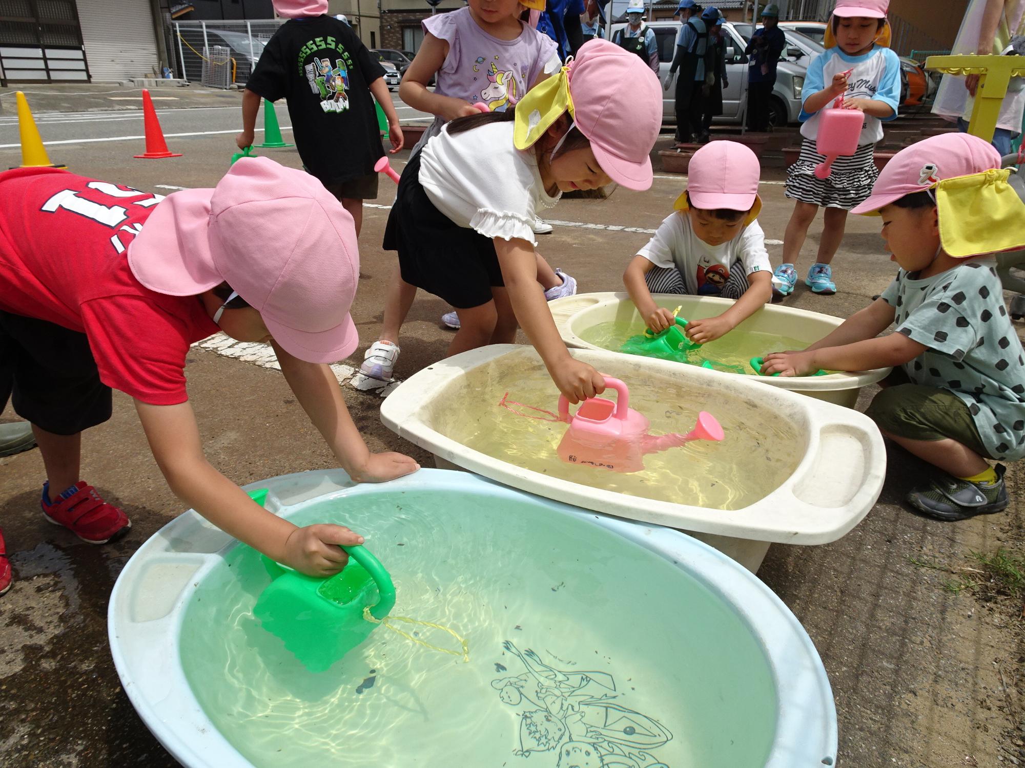 大きなたらいに入った水を小さなジョウロで汲んでいる園児たちの写真