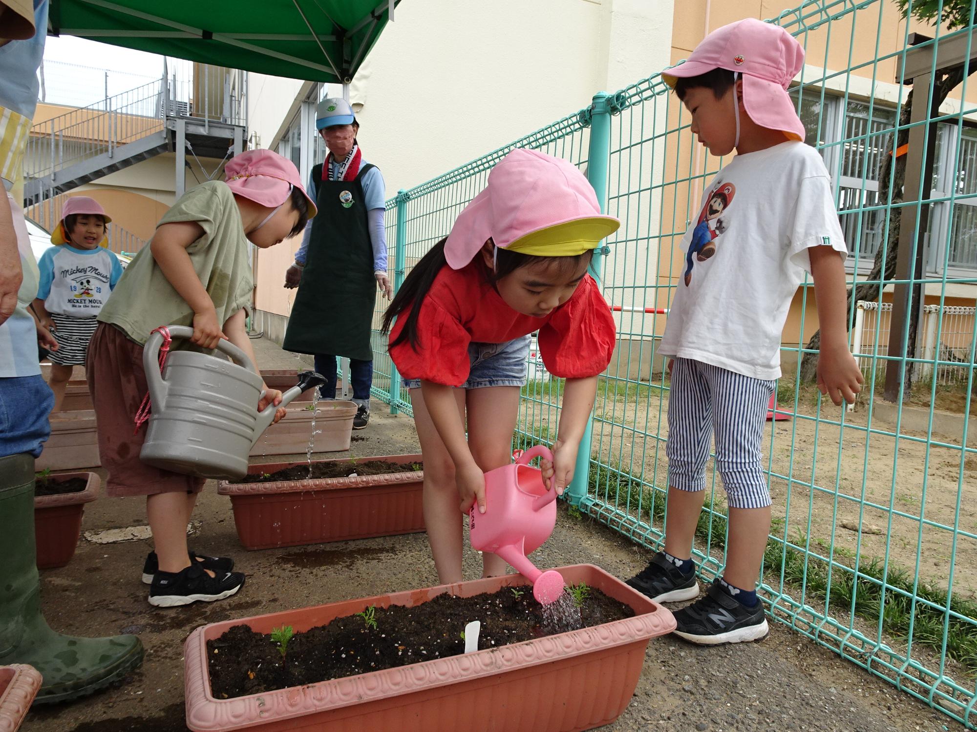 苗を植えた手前の茶色のプランターの土に小さなピンク色のジョウロで水やりを行っている女児と、奥のプランターに大きなジョウロで水やりを行っている男児の写真