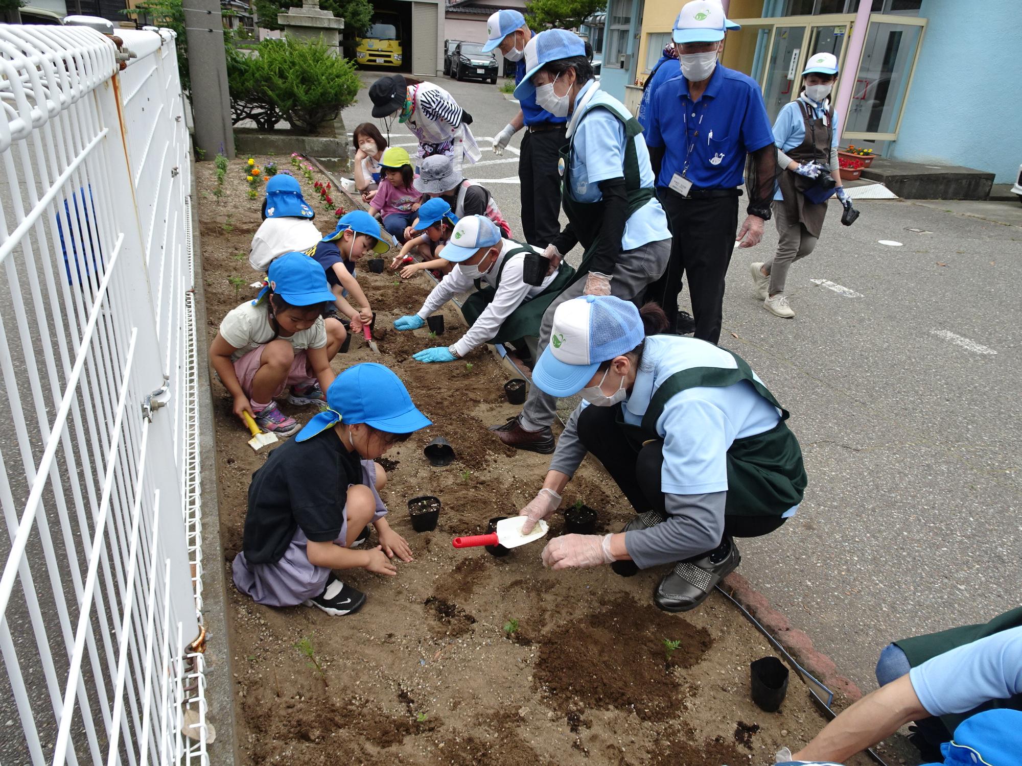 スタッフの方々と一緒に花壇に花の苗を植えている園児たちの写真