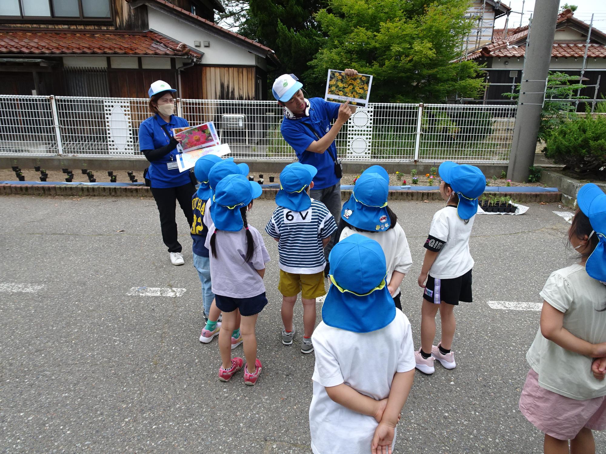 黄色の花の写真を持っている寺井先生の話を、青色の帽子を被った園児たちが聞いている写真