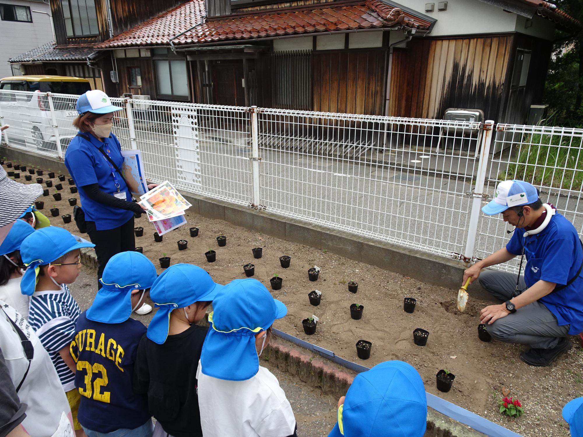 道路と園を隔てる白色のフェンス側の花壇に苗ポットを並べ説明を行っている寺井先生の話を、傍で聞いている園児たちの写真