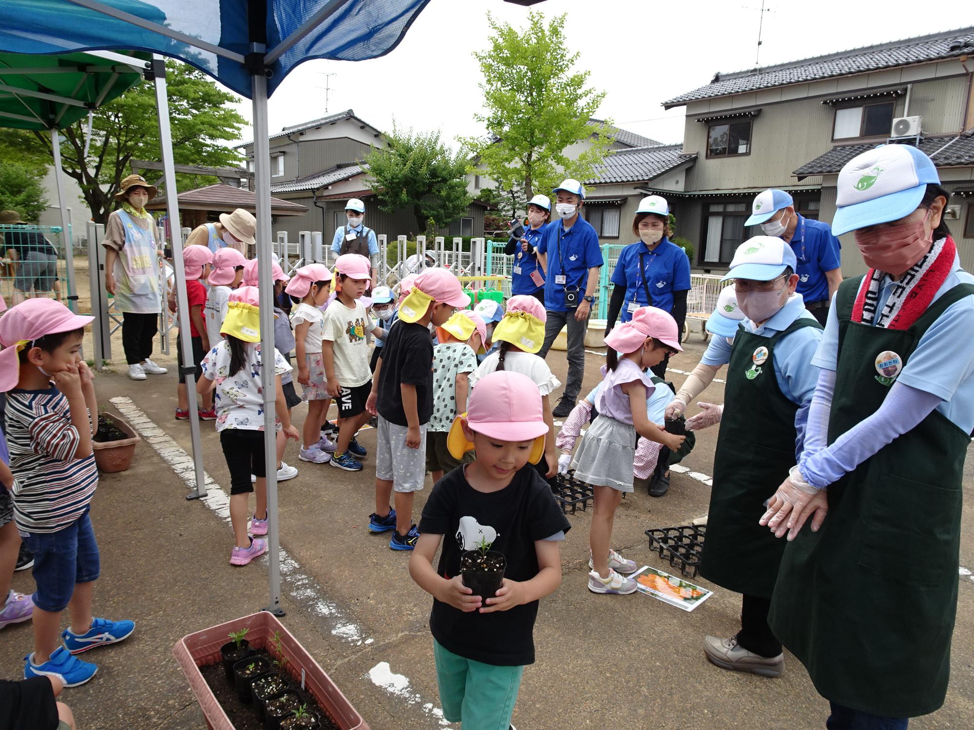 受け取った苗ポットを両手で持ち慎重に運んでいる園児の写真