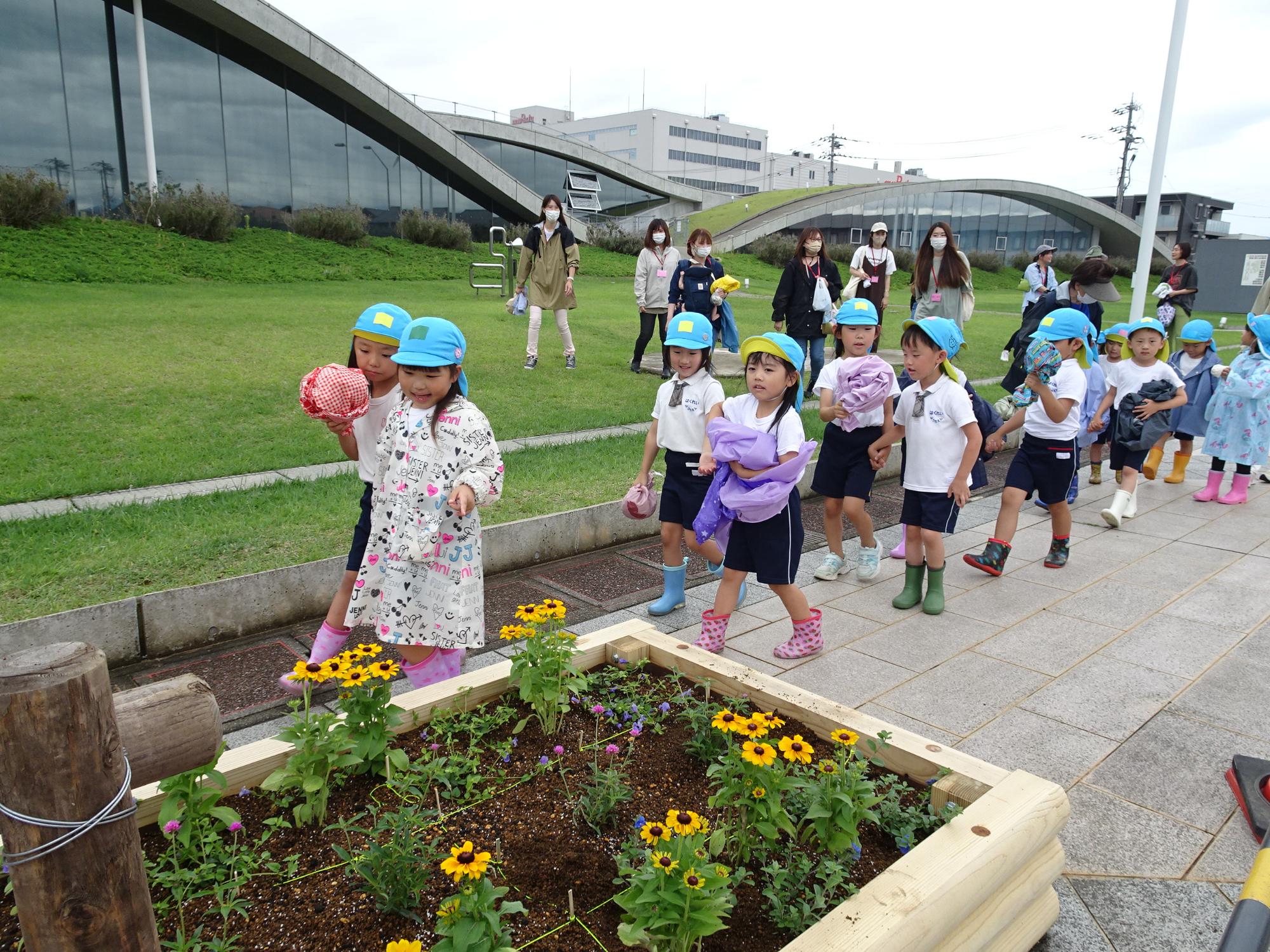芝生に集まった保護者の方々が見守るなか、二列に並んだ園児たちが黄色の花が植えてある花壇を見ながら歩いている様子の写真