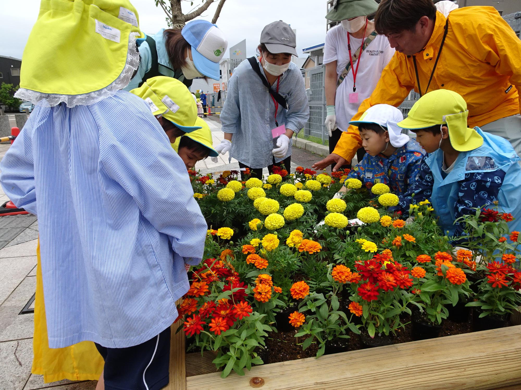 黄色やオレンジ色の花が咲いている花壇の周りで、子どもたちや保護者の方々が集まっている写真