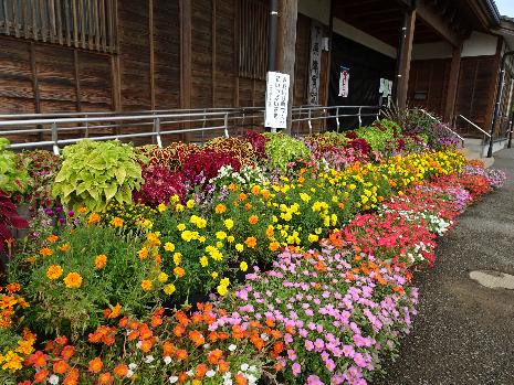 花のコンクール大賞 これまでの受賞 小松市ホームページ