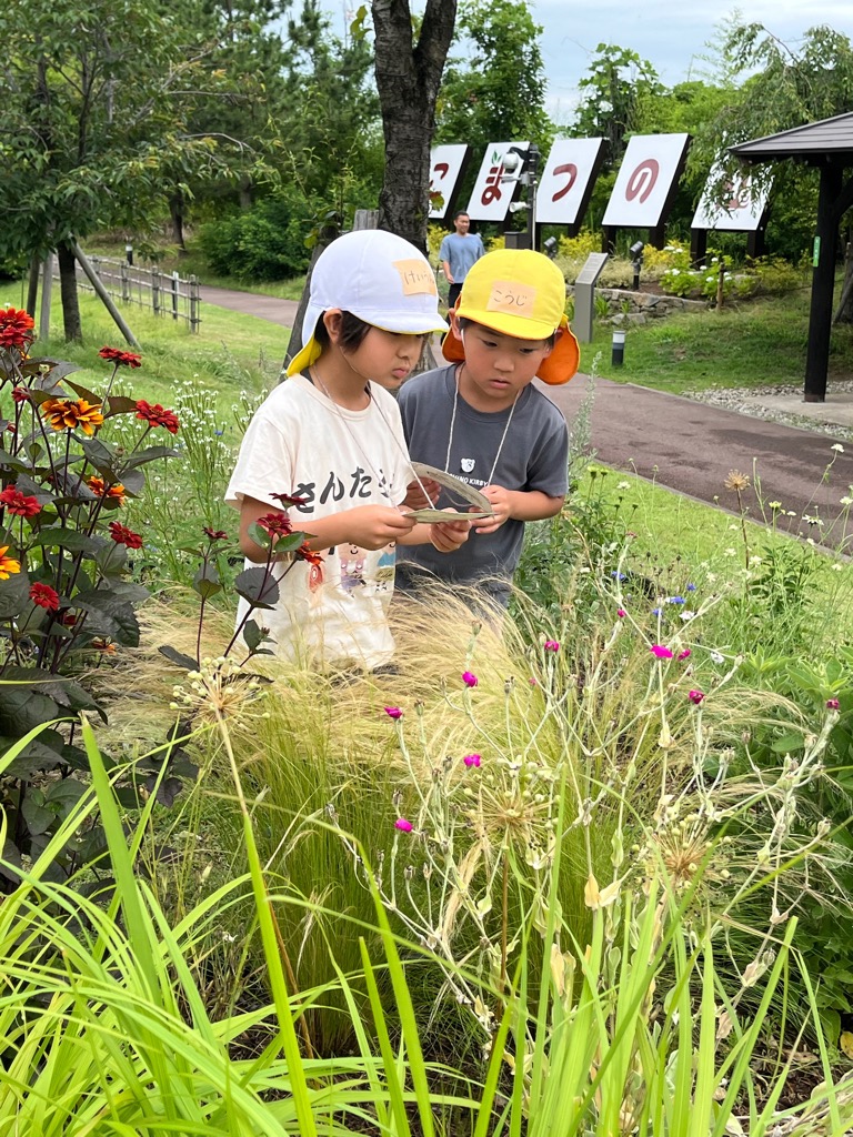 植物を探す園児