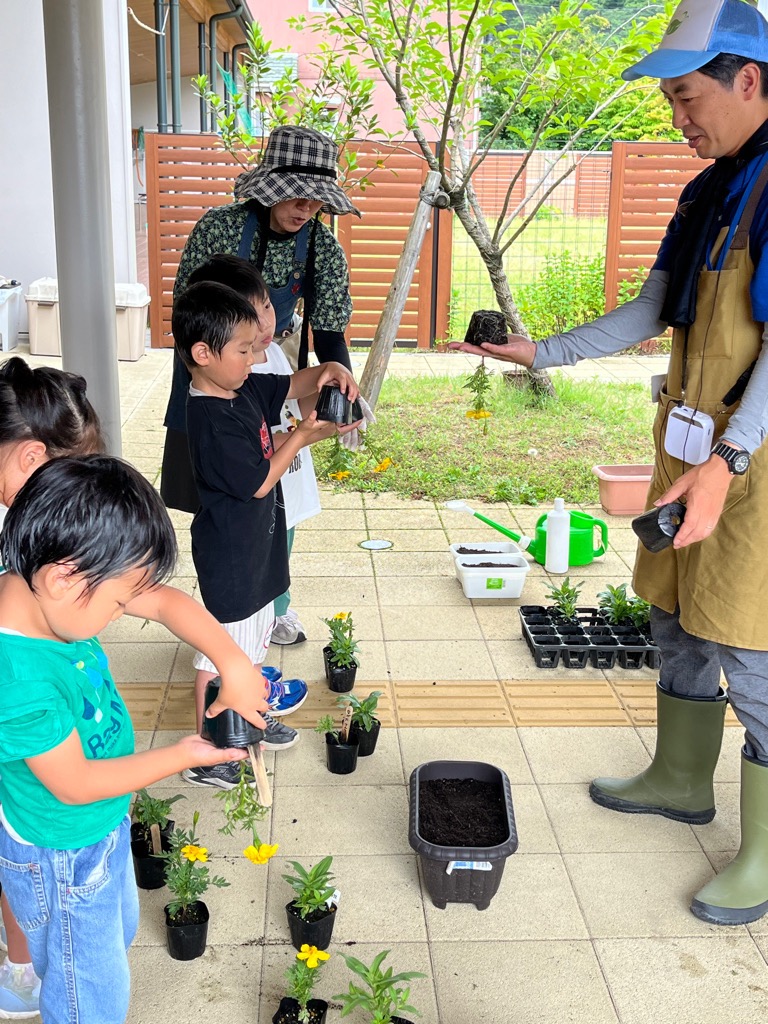 ポットから苗を取り出す園児