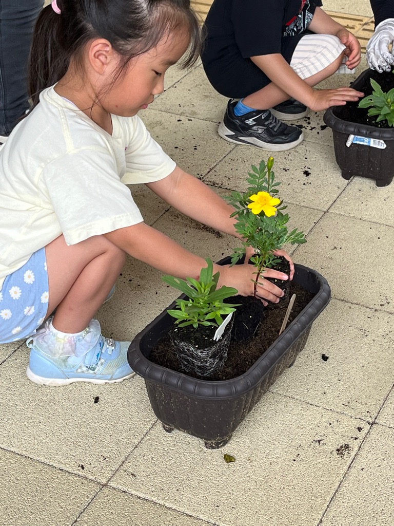 苗を植える園児