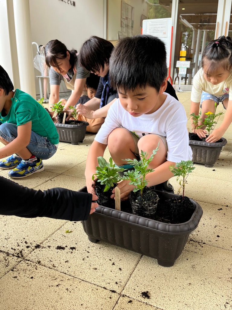 苗を植える園児