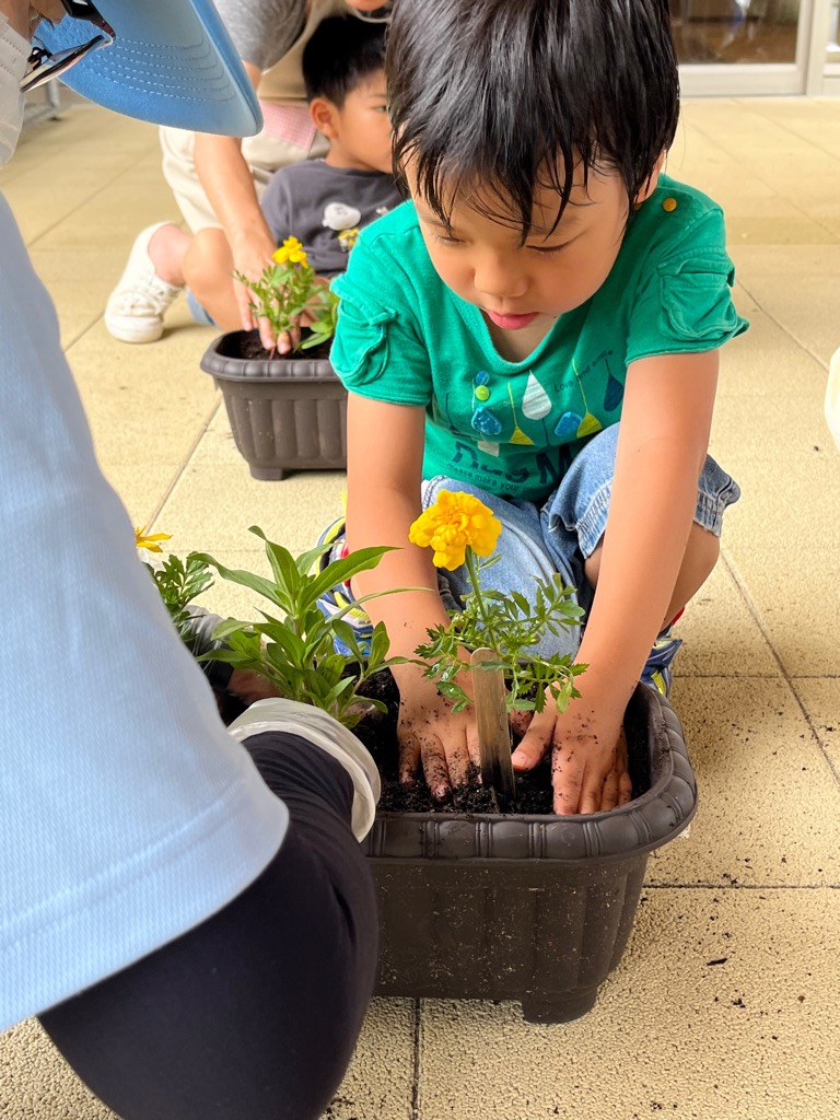 苗を植える園児