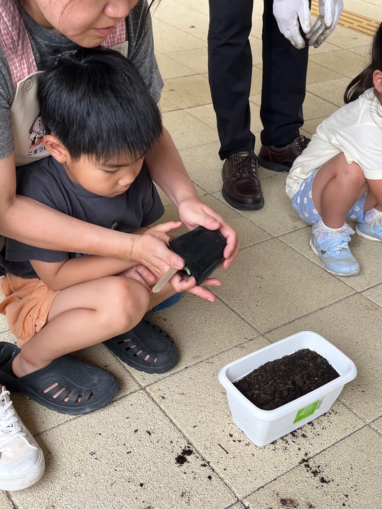 苗を植える園児