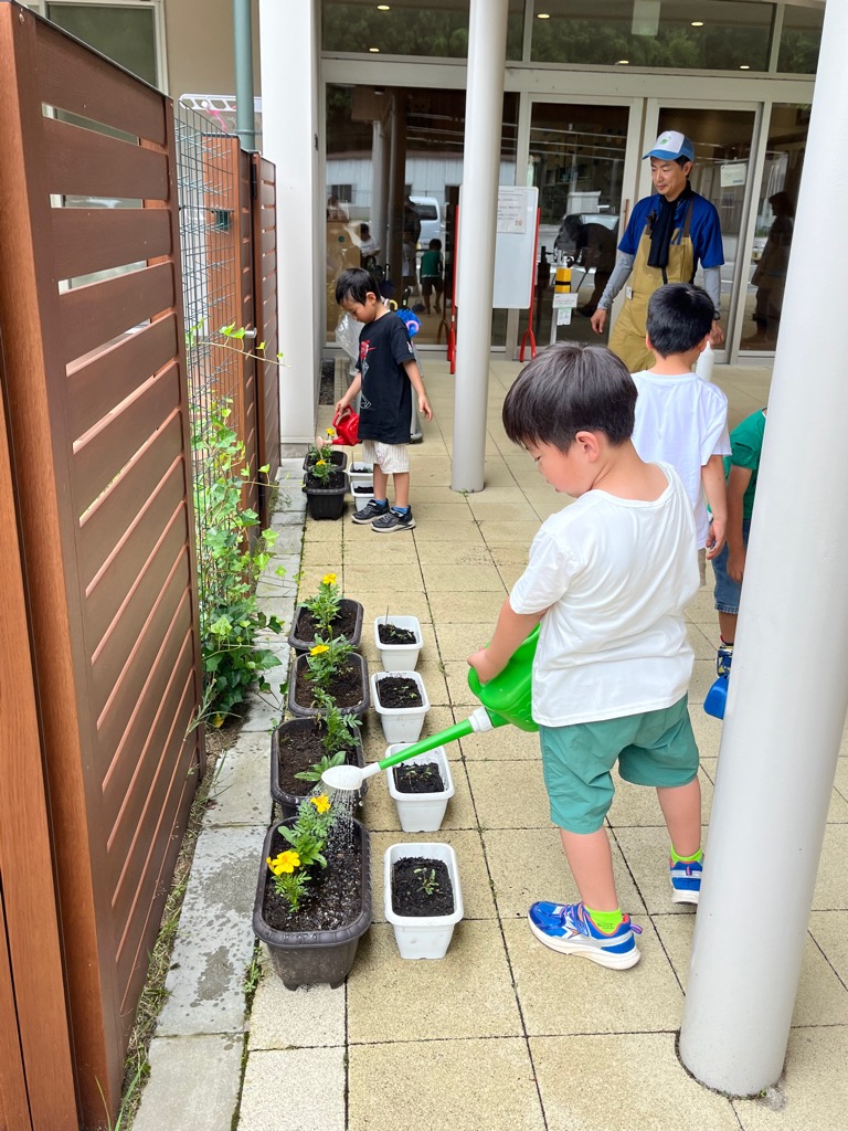 苗に水をあげる園児