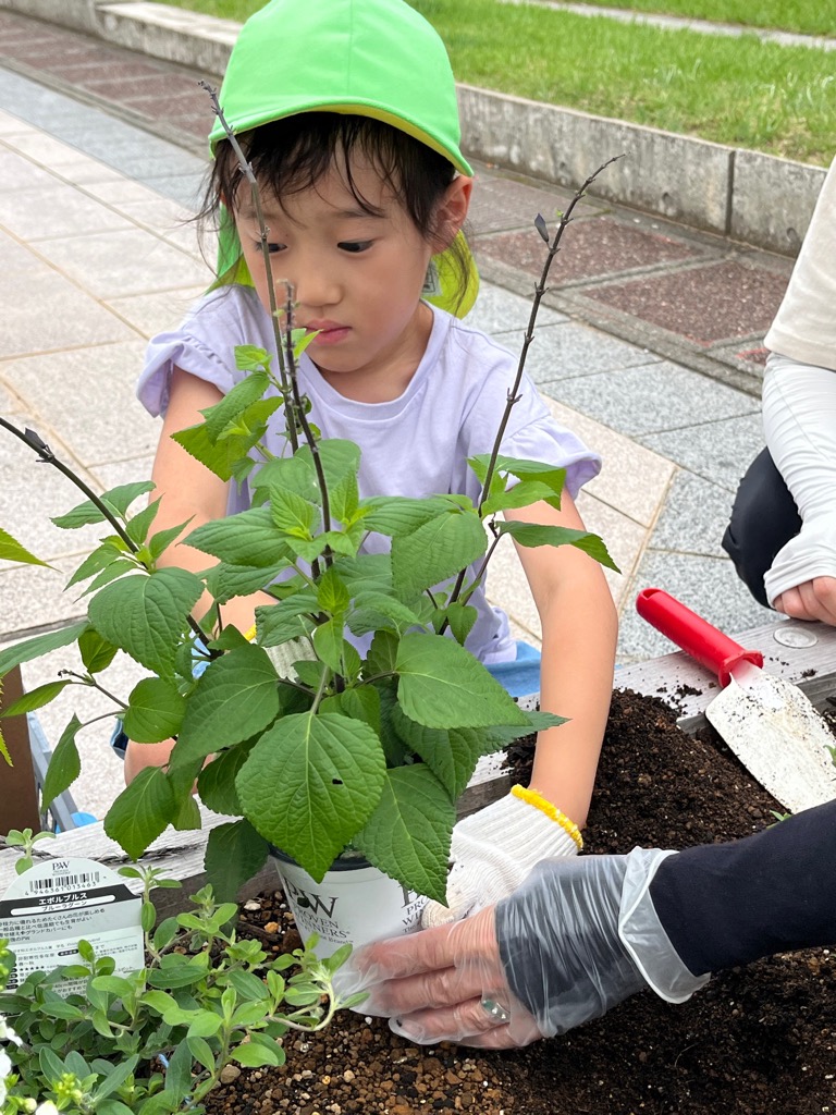 苗を植える園児