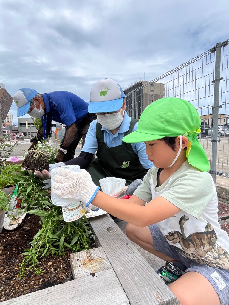 苗を植える園児