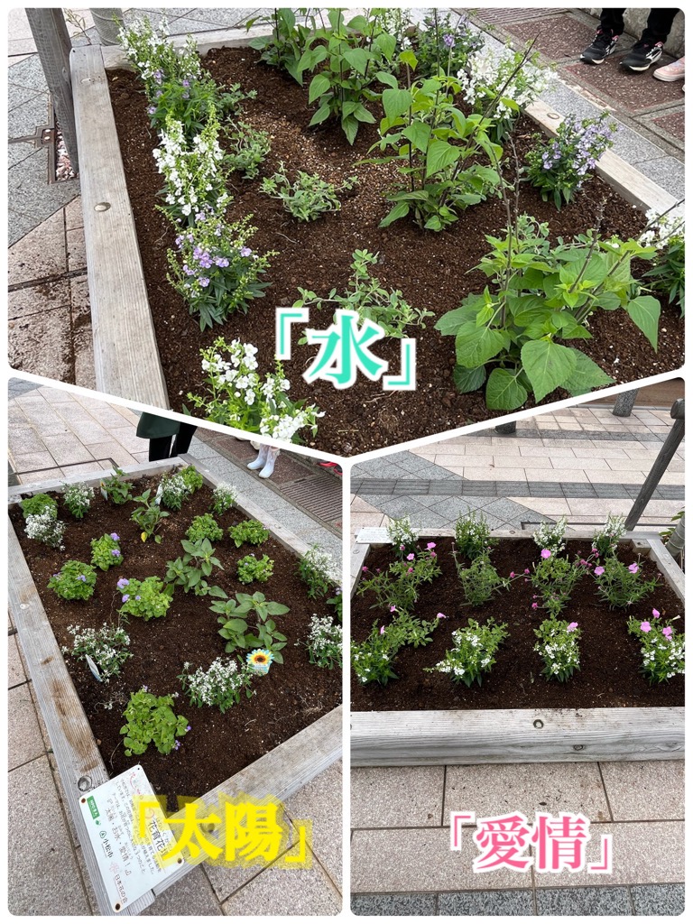 植え終わった花壇