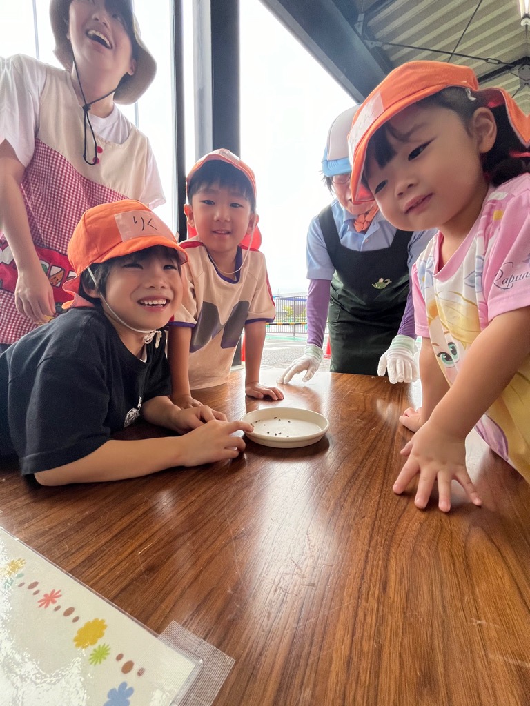 種の形を確認する園児