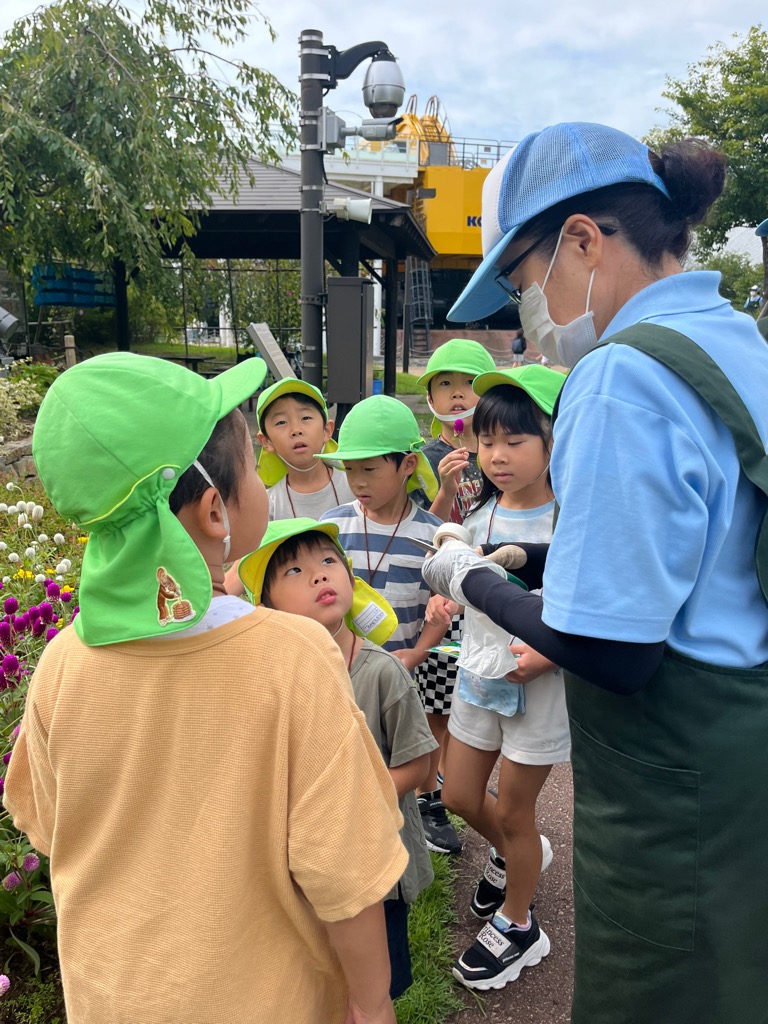 センニチコウを見つけた園児達