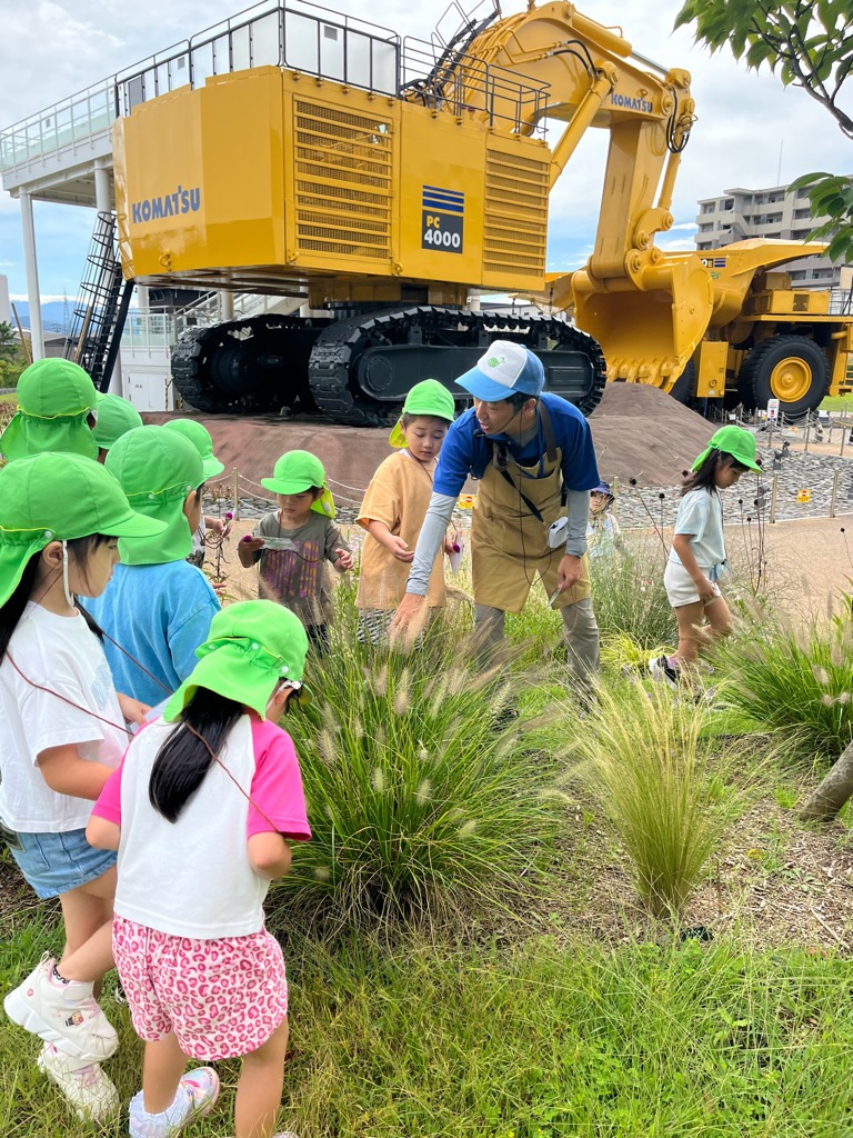 寺井先生と見つけた花のおさらいをする園児