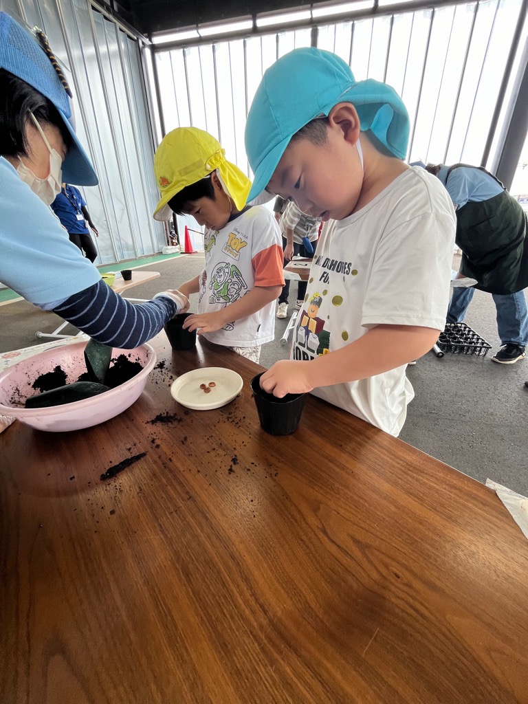 穴に種を入れる園児
