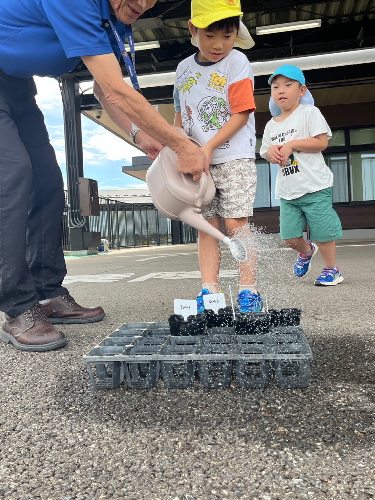 種が入ったポットに水をかける園児