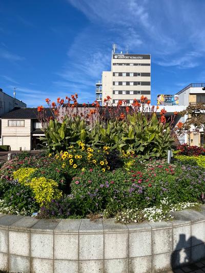 駅前花壇