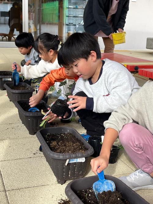苗をプランターに植える園児