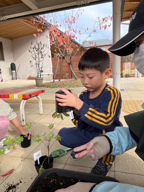 苗をプランターに植える園児