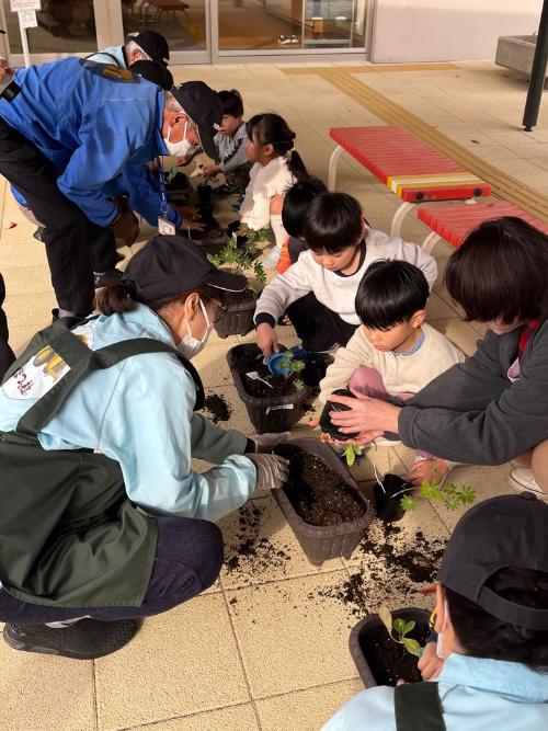 苗をプランターに植える園児