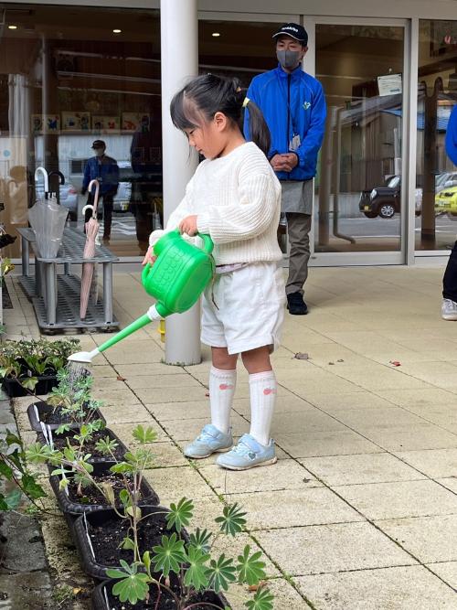 苗にお水をあげる園児