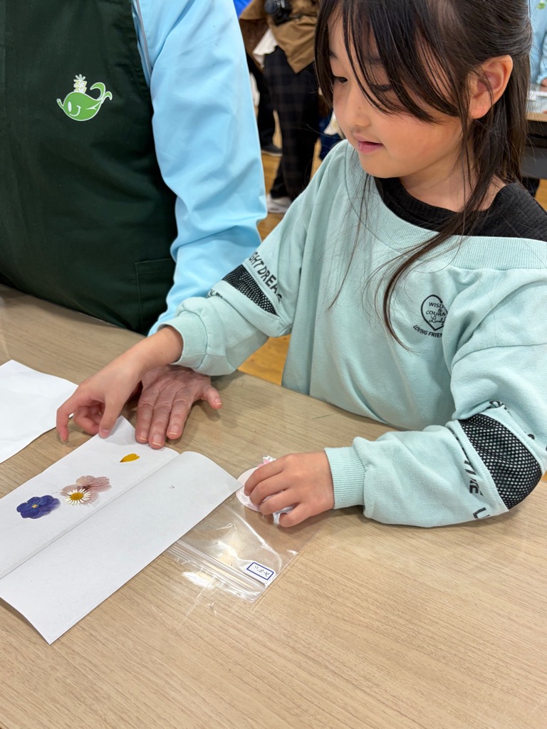 押し花の紙をそっと開ける園児