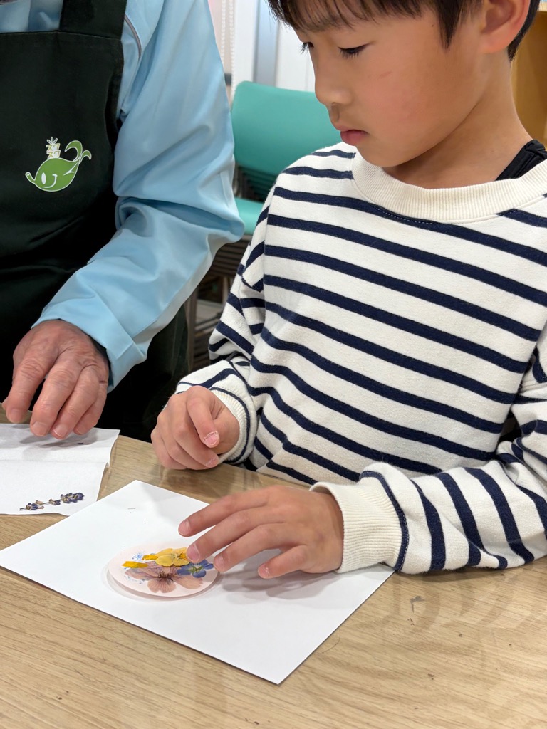 台紙に押し花を貼る園児