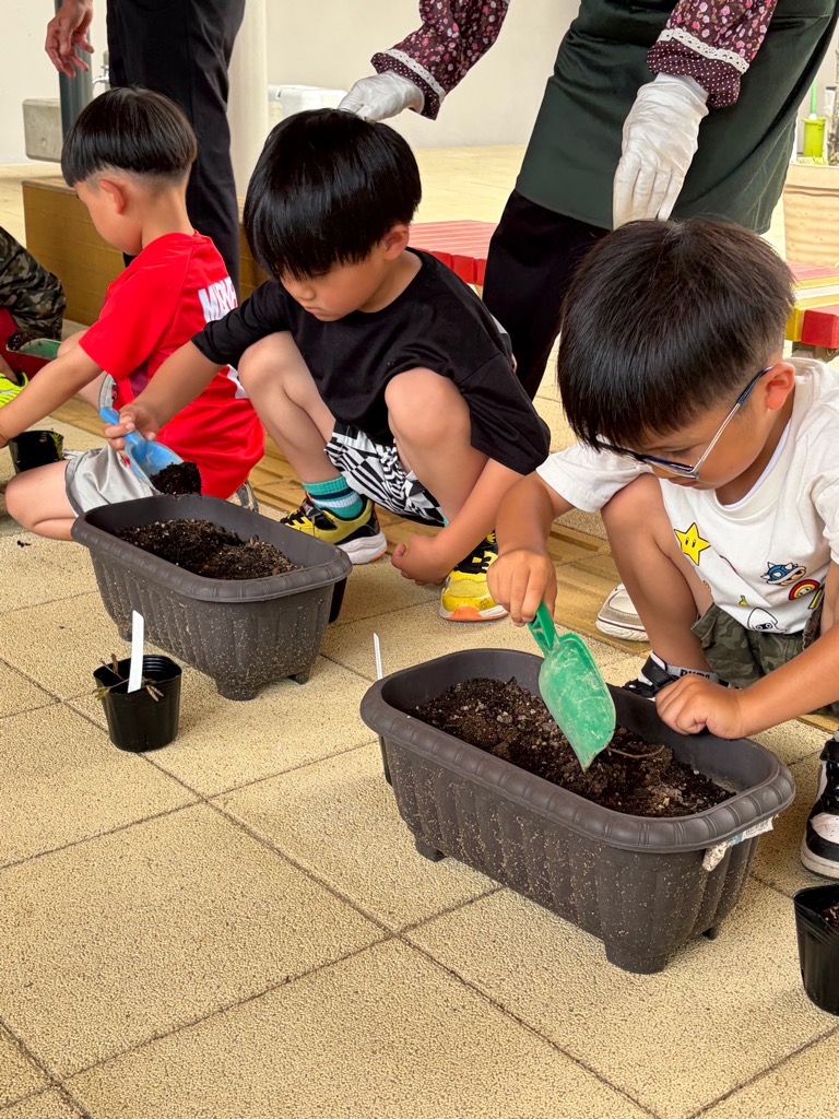 プランターに苗を植える園児